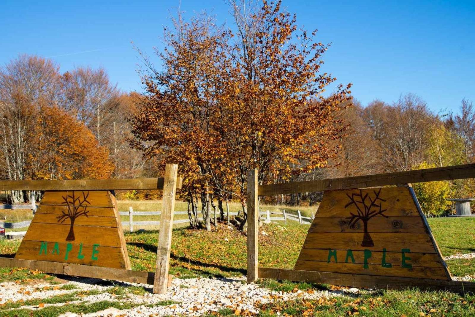 Maple Bungalows Žabljak Zewnętrze zdjęcie